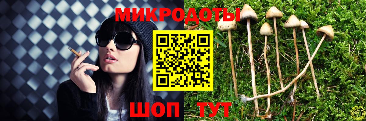 Псилоцибиновые грибы ЛСД Киселёвск