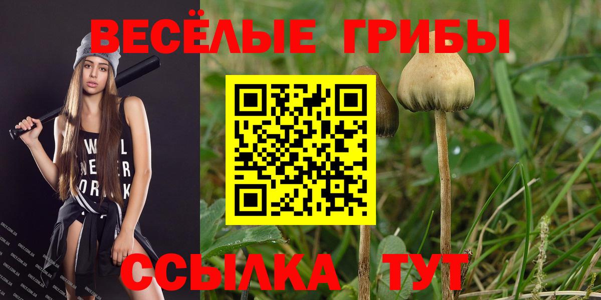 Галлюциногенные грибы прущие грибы  Вход с VPN  закладки  Киселёвск 